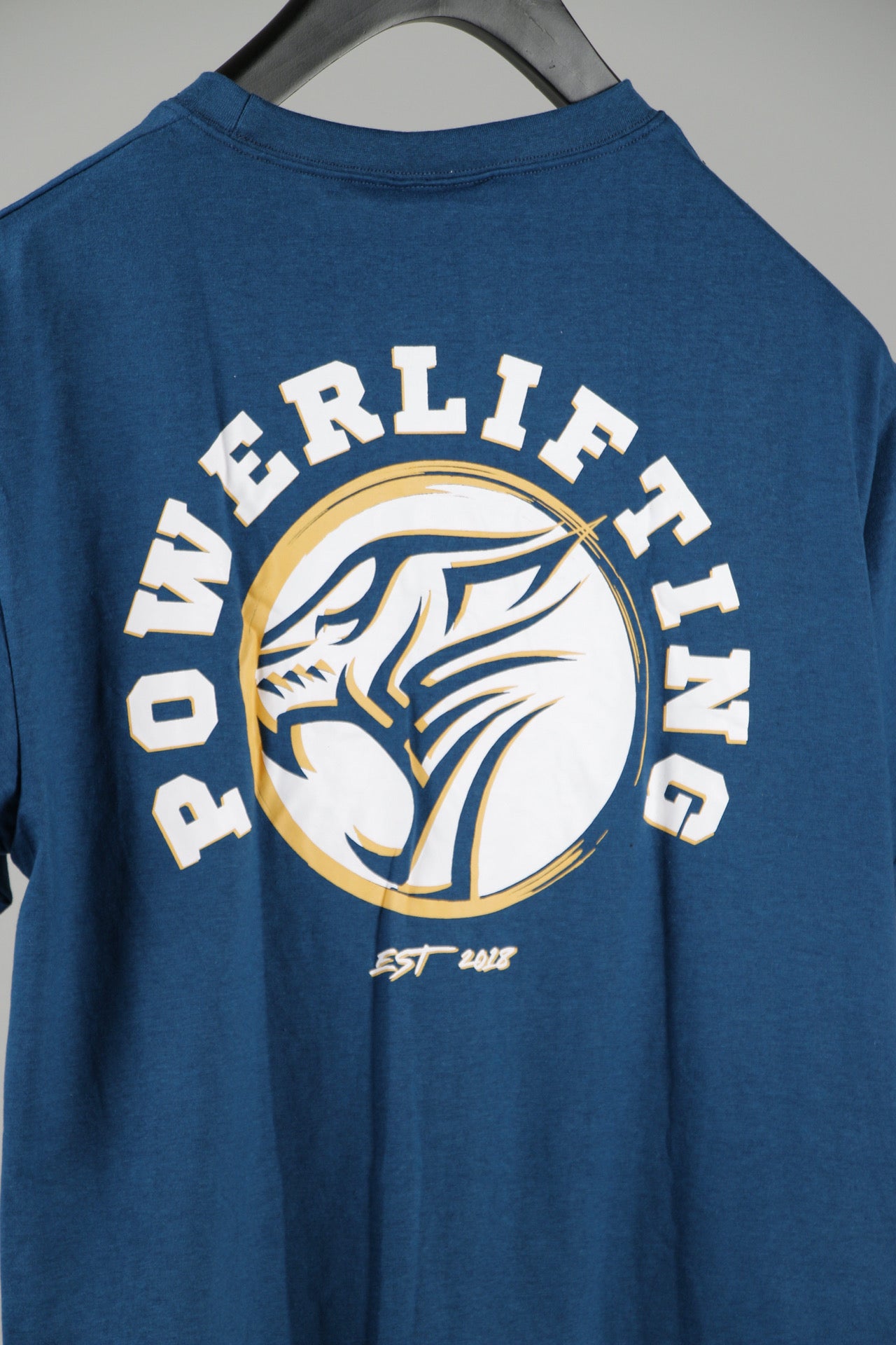 Bigcat Apparel Powerlifting Oversized Tee - Crystal Teal