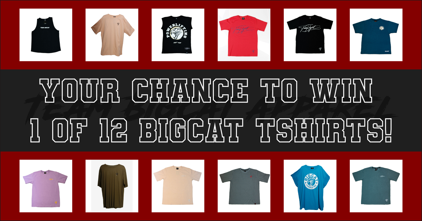 BigCat Mystery Bag - TShirt