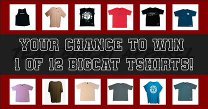 BigCat Mystery Bag - TShirt