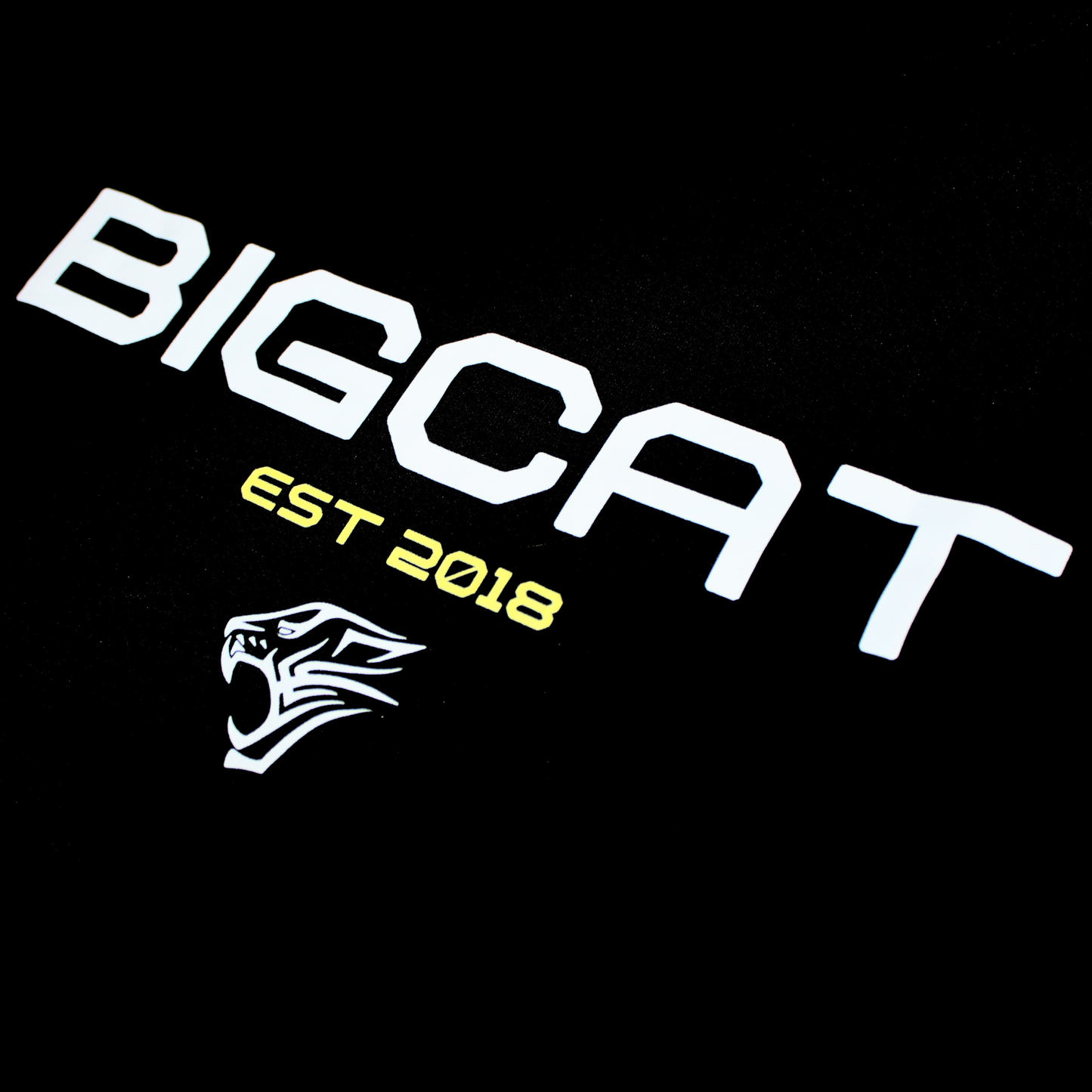 Standard Fit Bigcat Everyday Tee